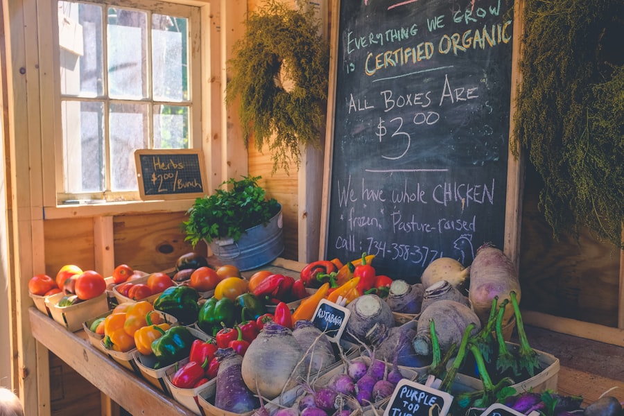 Assorted fresh vegetables export